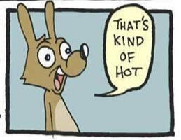 A comic panel of a cartoon wolf character saying 'that's kind of hot'.